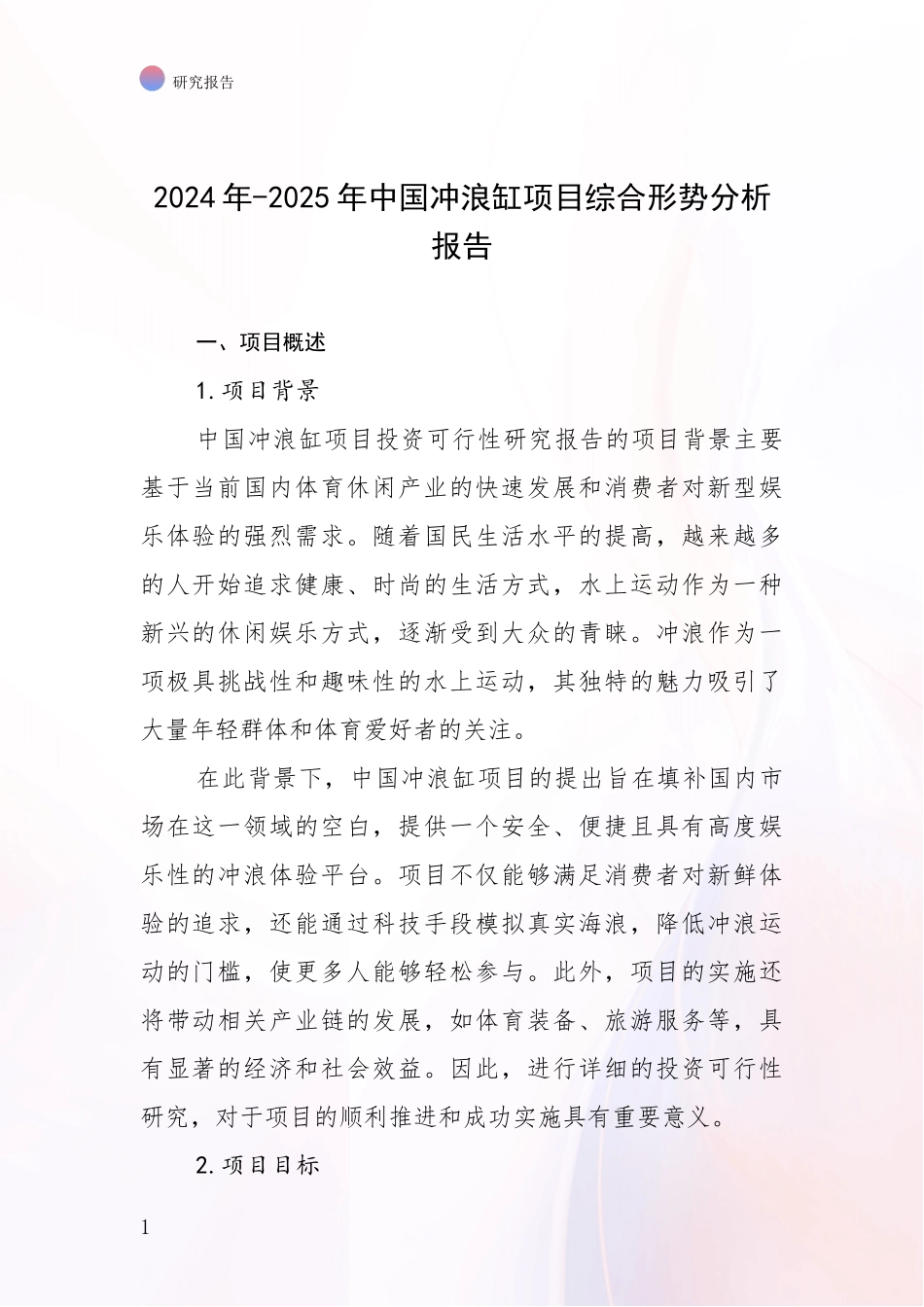 2024年-2025年中国冲浪缸项目综合形势分析报告_第1页