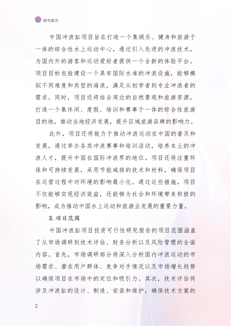 2024年-2025年中国冲浪缸项目综合形势分析报告_第2页