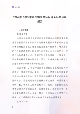 2024年-2025年中国冲浪缸项目综合形势分析报告