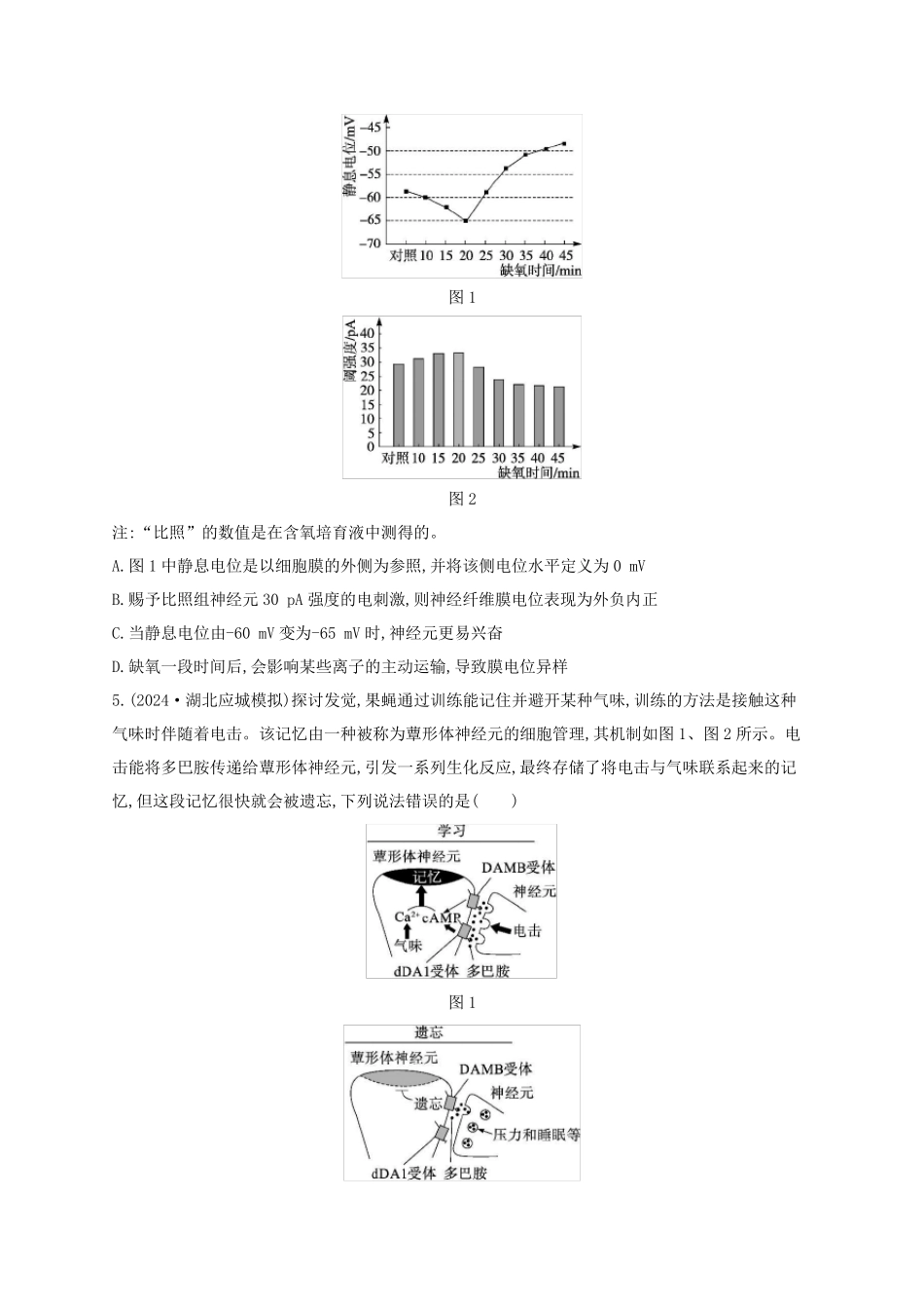 适用于新高考新教材2025版高考生物二轮复习知识对点小题练9动物生命活动的调节_第2页