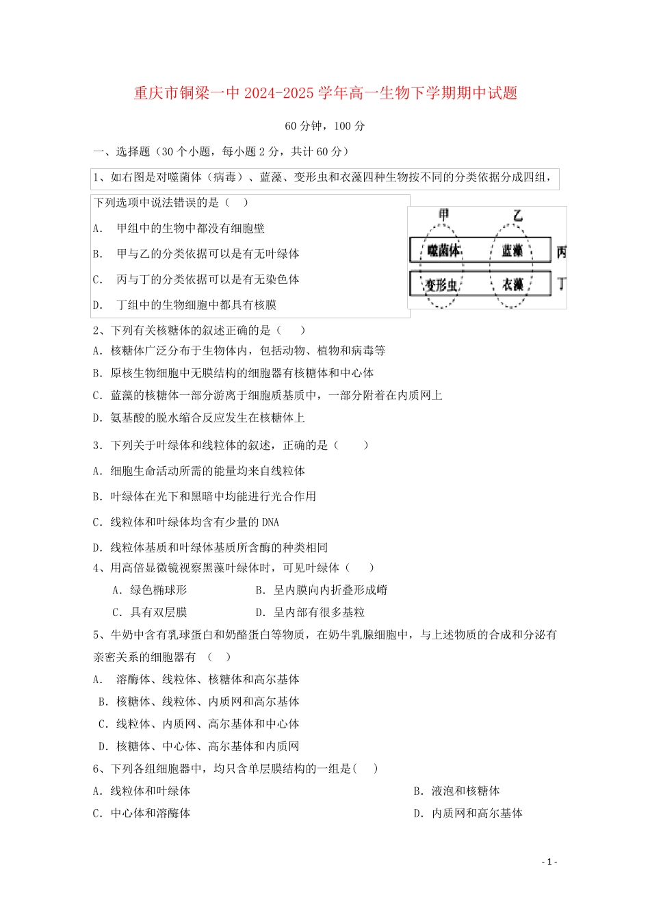 重庆市铜梁一中2024_2025学年高一生物下学期期中试题_第1页