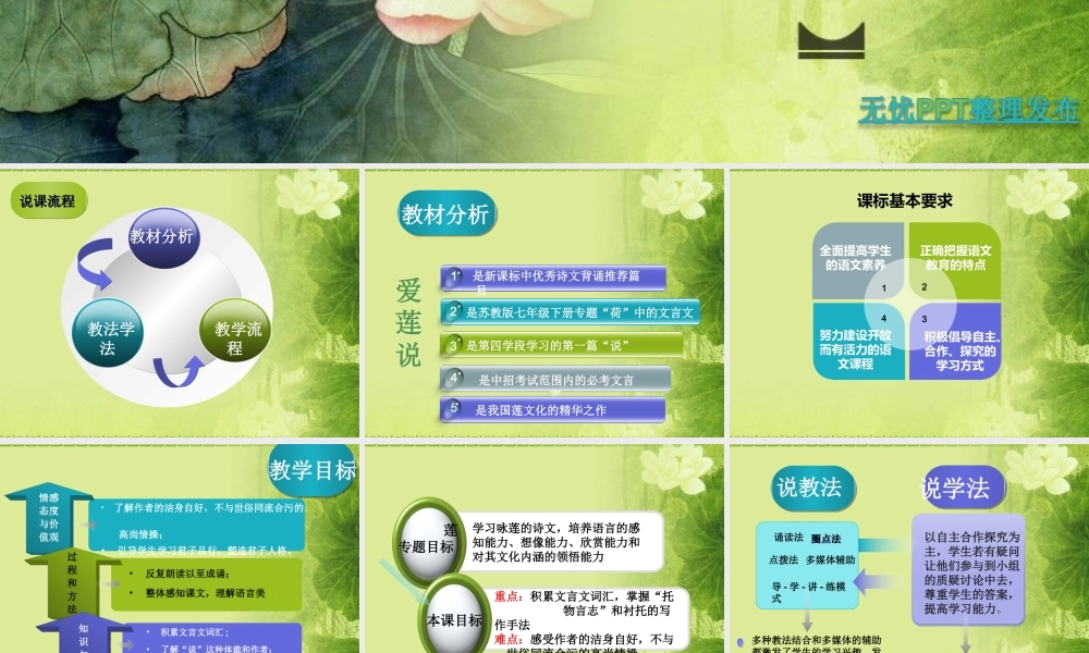荷花_PPT模板
