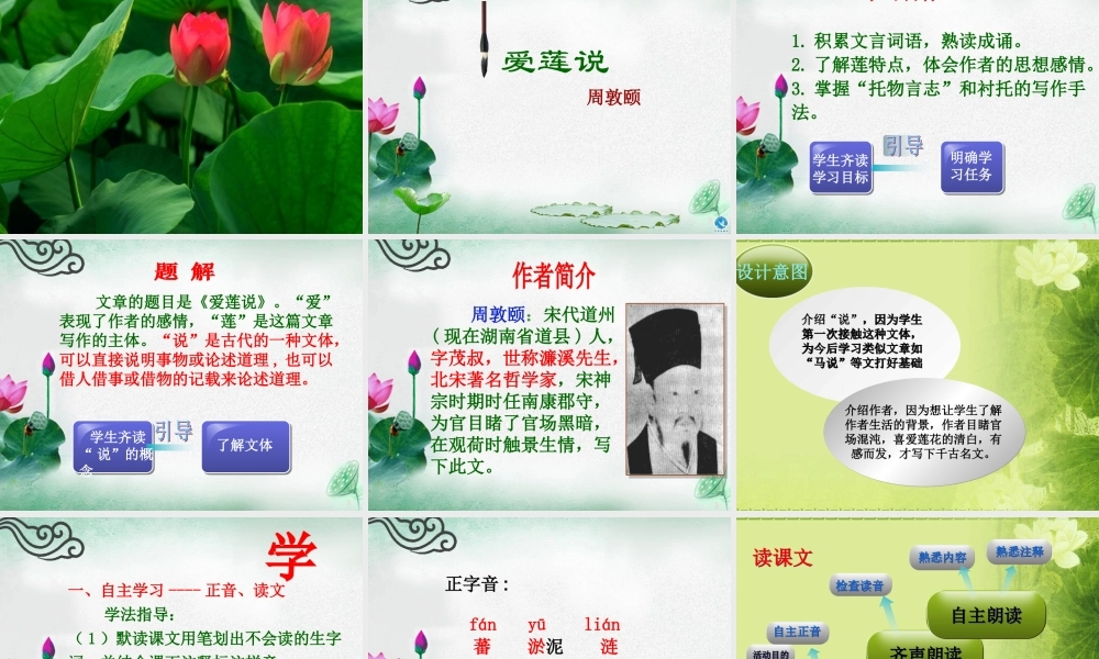 荷花_PPT模板