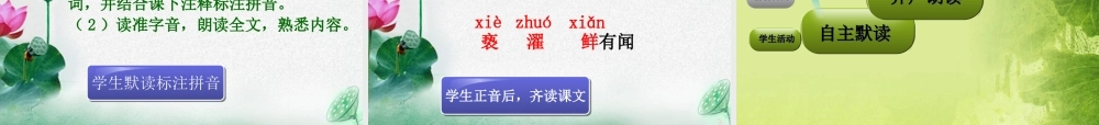 荷花_PPT模板