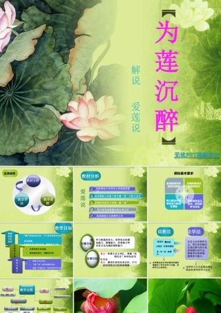 荷花_PPT模板