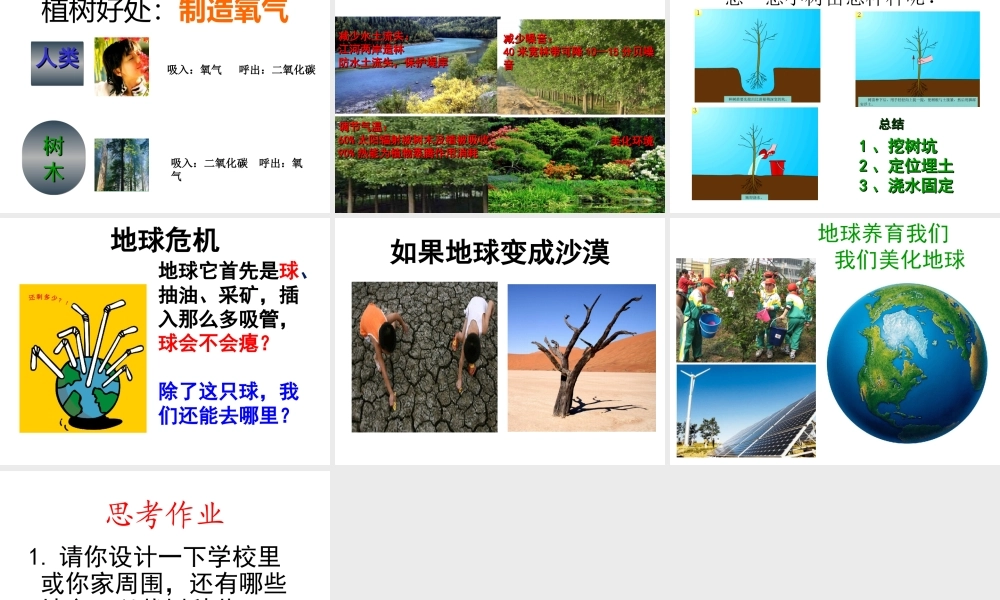 教科版一年下语文3我们去植树