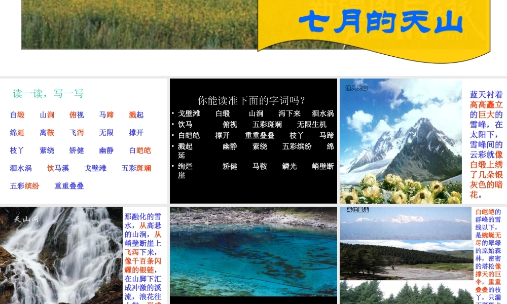 七月的天山 (3)