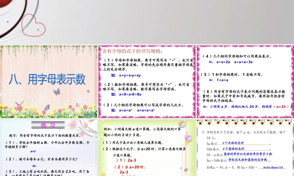 _式和方程—用字母表示数