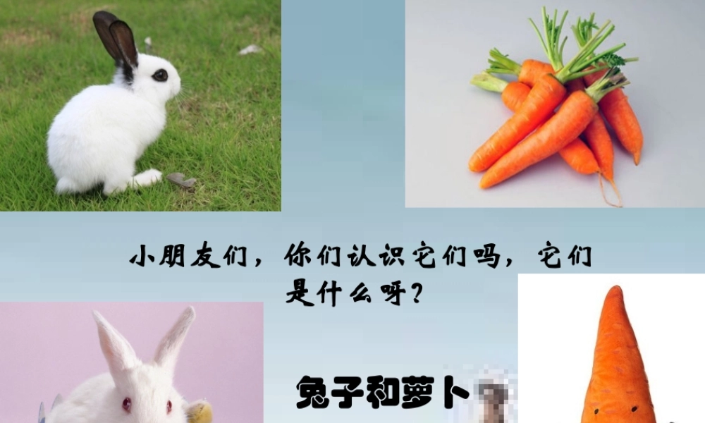 《大萝卜》(幼儿园小班下学期PPT课件)