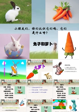 《大萝卜》(幼儿园小班下学期PPT课件)