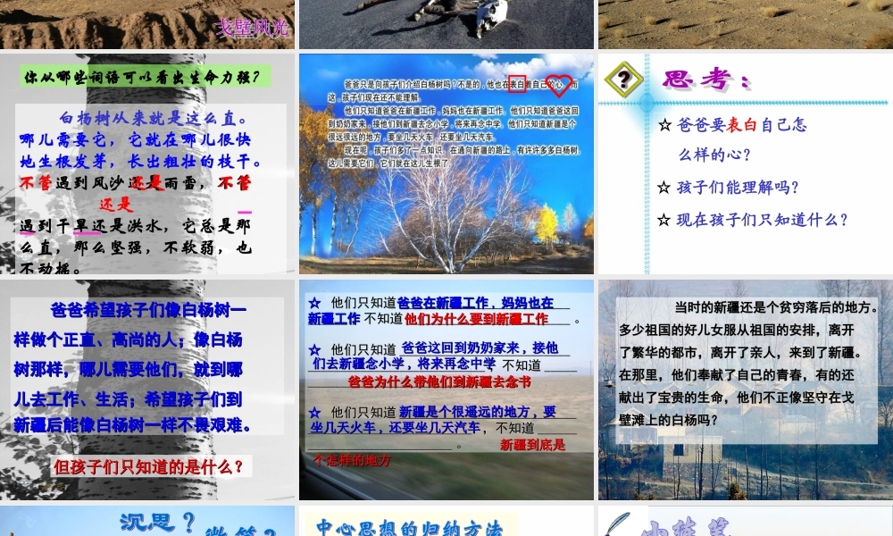 《白杨》教学课件1 (2)