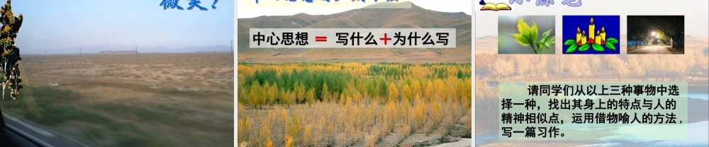 《白杨》教学课件1 (2)