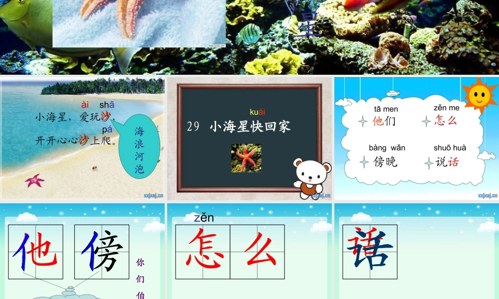 小海星快回家