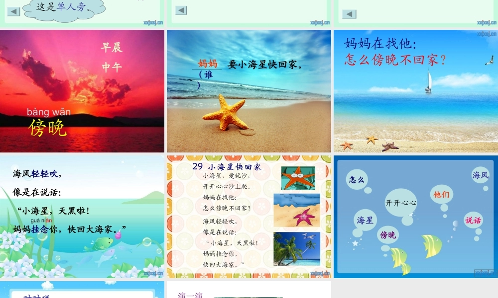 小海星快回家