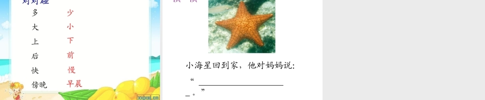 小海星快回家