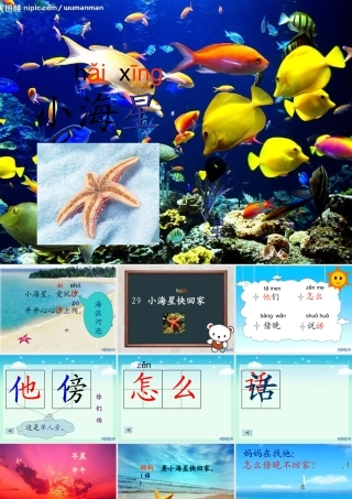 小海星快回家