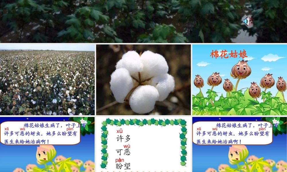棉花姑娘人教版