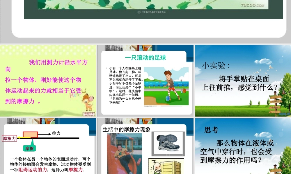 摩擦力的秘密PPT[1]