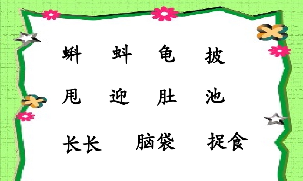 小蝌蚪找妈妈_课件