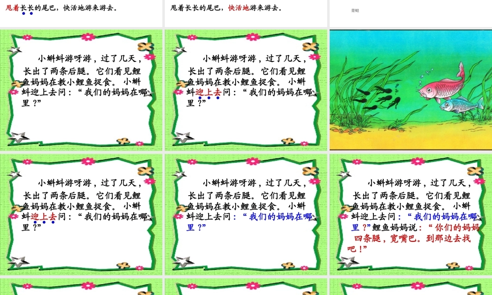 小蝌蚪找妈妈_课件
