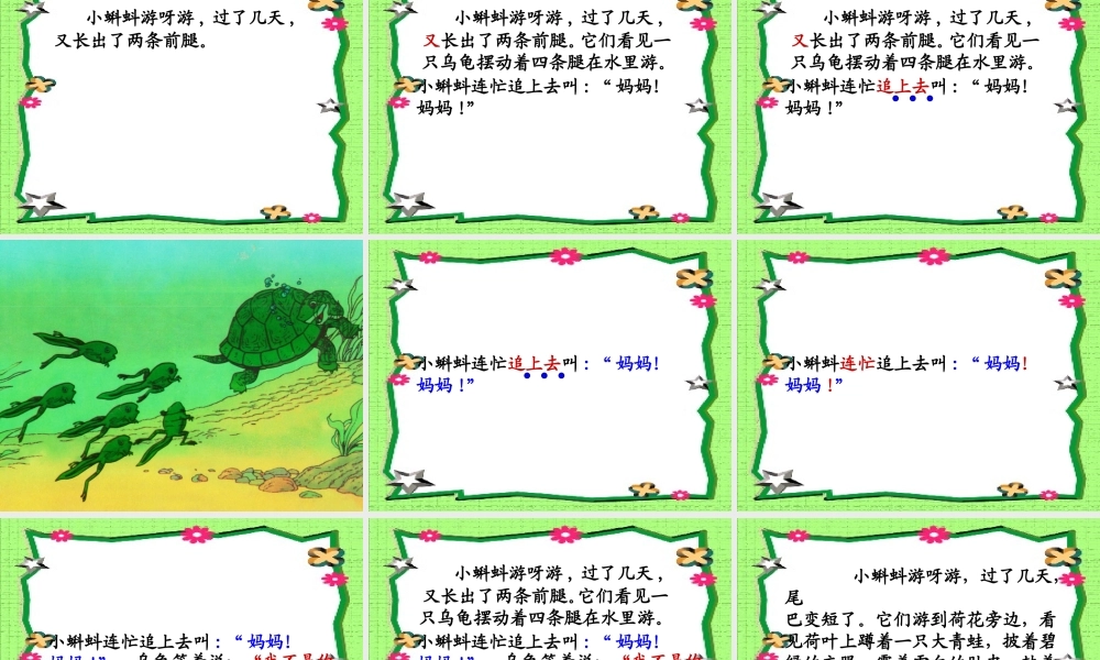小蝌蚪找妈妈_课件