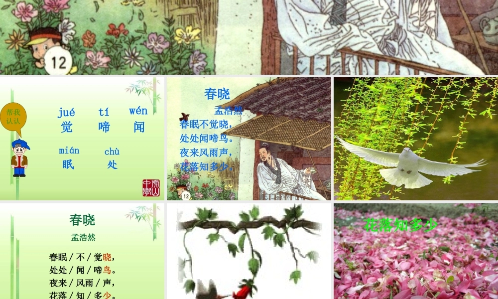 古诗《春晓》PPT课件