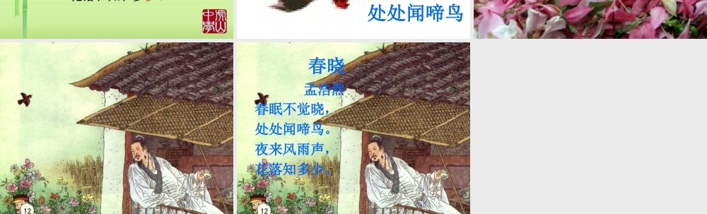 古诗《春晓》PPT课件