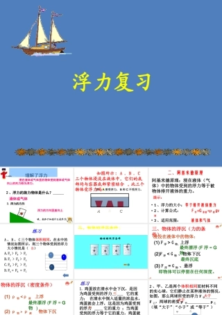 2015年中考物理复习课件：《第10章浮力》课件