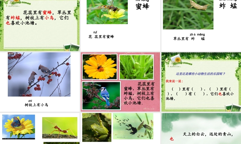 我爱门前的小池塘