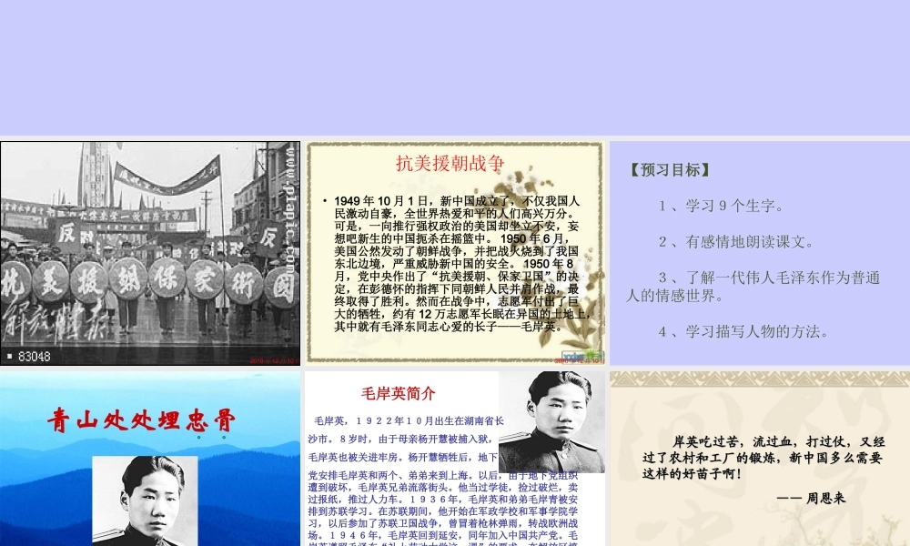 青山处处埋忠骨PPT (2)