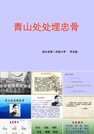 青山处处埋忠骨PPT (2)