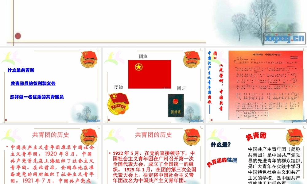 如何做一名优秀的共青团员