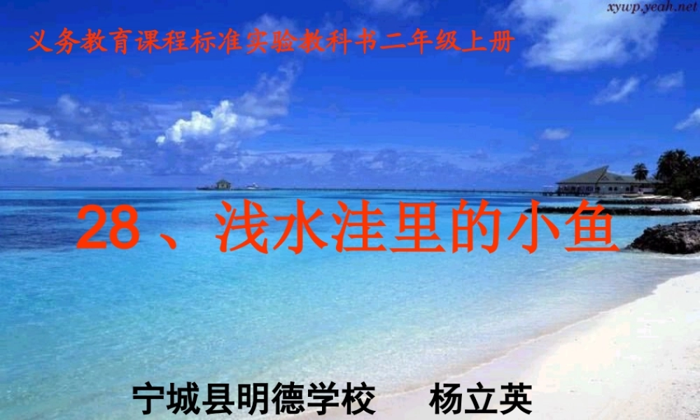 浅水洼里的小