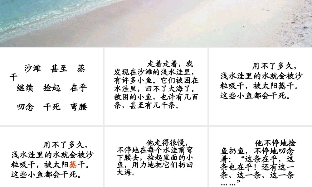 浅水洼里的小