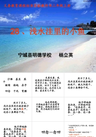 浅水洼里的小