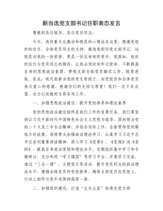新当选党支部书记任职表态发言