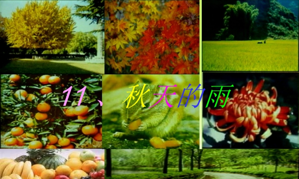 《11、秋天的雨》PPT课件