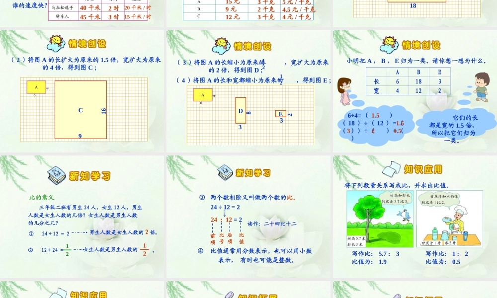 《生活中的比》课件