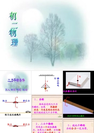 二力平衡 (3)