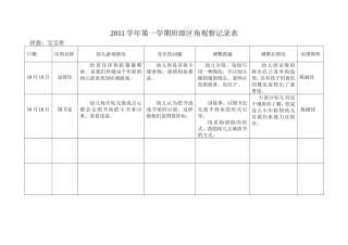宝宝班区域观察记录10月