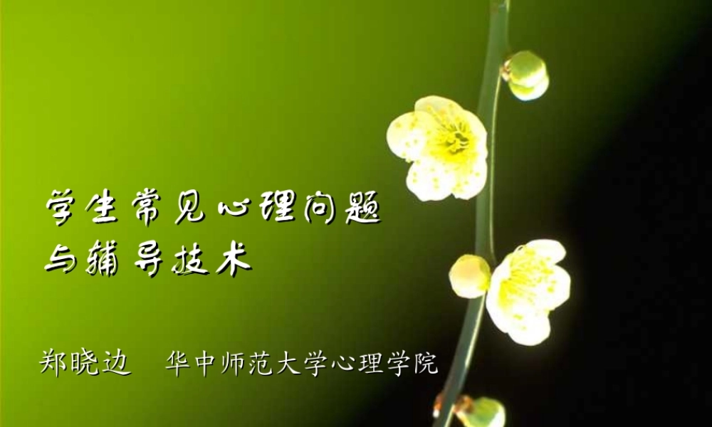 学生常见心理问题与辅导技术