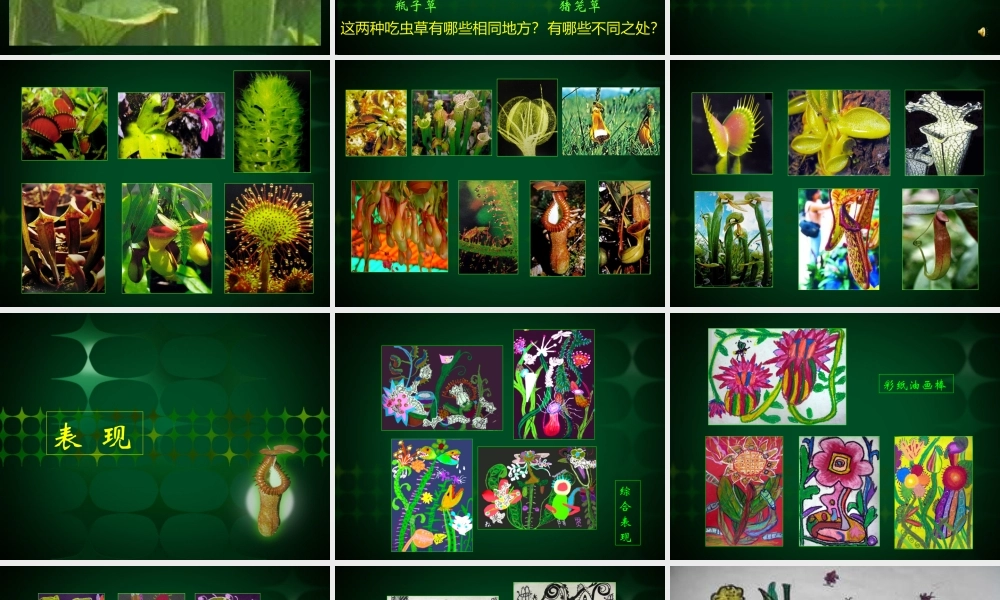 《吃虫草》课件3