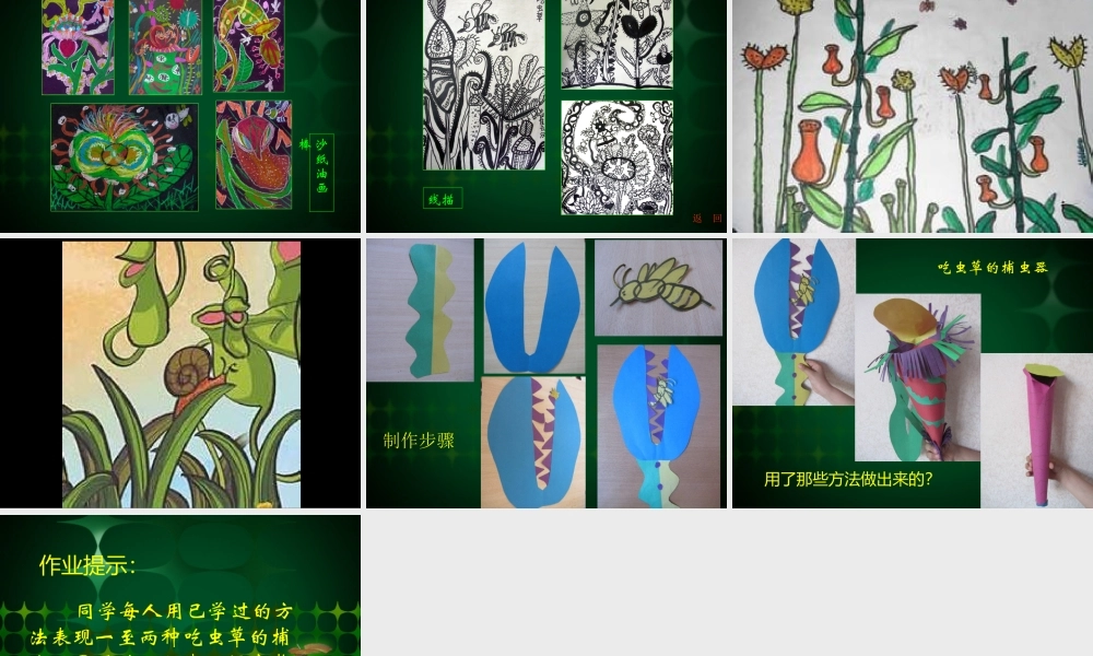 《吃虫草》课件3