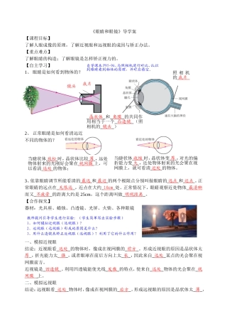 《眼睛和眼镜》导学案