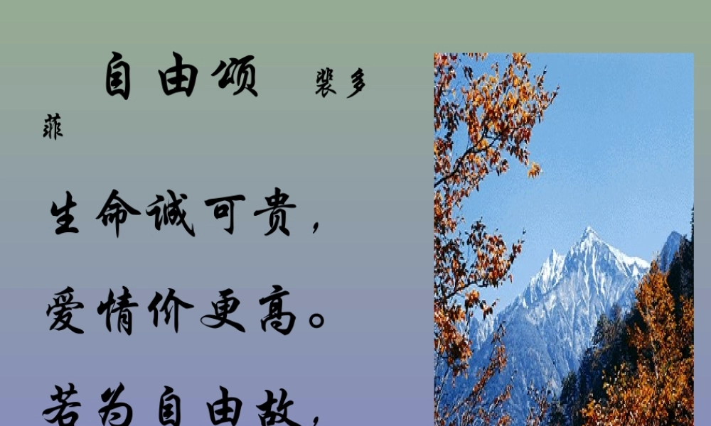 鱼我所欲也课件动画