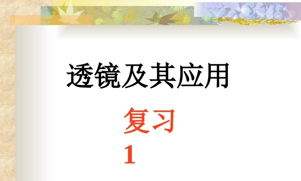 透镜及其应用复习叶
