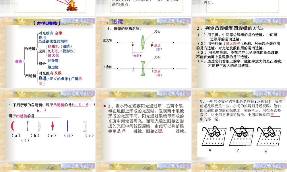 透镜及其应用复习叶