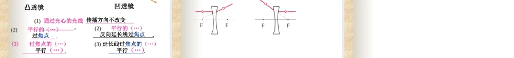 透镜及其应用复习叶