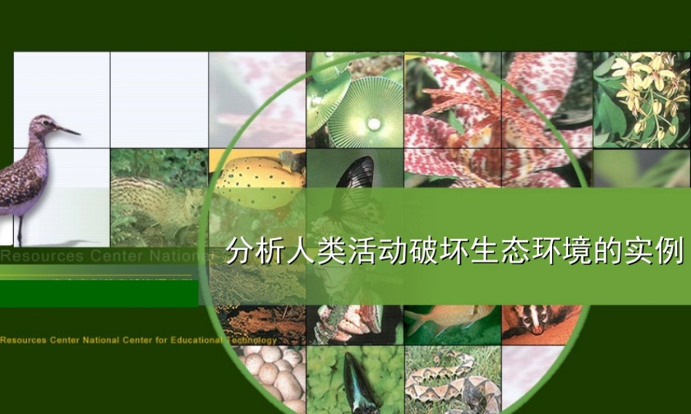 人类活动破坏生态环境的实例2