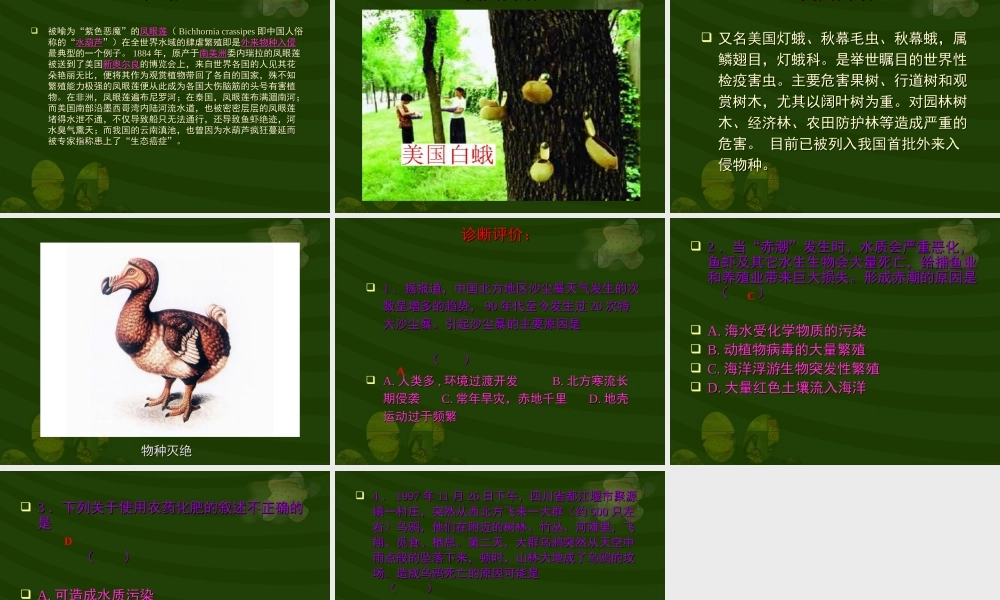 人类活动破坏生态环境的实例2